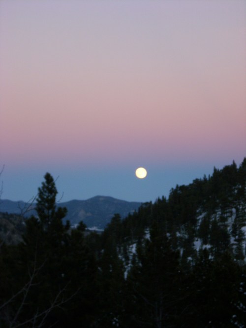 colarado and stockhome 030