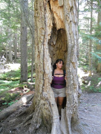 Glacier National Park 028