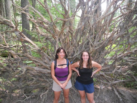 Ted Top All Time  303 Pictures