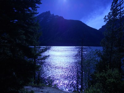 Ted Top All Time  303 Pictures-3