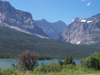 Ted Top All Time  303 Pictures-17