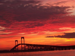 Ted Top All Time  303 Pictures-7