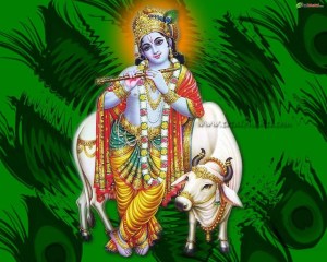 lord-krishna-781
