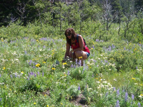 Jules National Parks 196